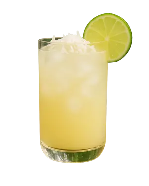 TRIBAL COCONUT BREEZE