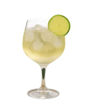 TRIBAL  ELDERFLOWER SPRITZ