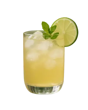 TRIBAL  GINGER MULE