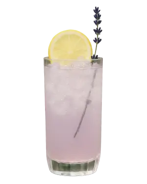 TRIBAL LAVENDER COLLINS