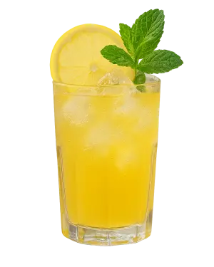 TRIBAL  LEMON TEA GIN FIZZ