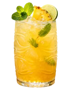 TRIBAL TROPICAL FIZZ