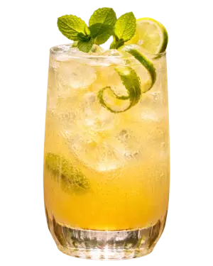 TRIBAL VELVET PINEAPPLE COOLER