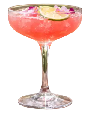 TRIBAL ROSE WATERMELON