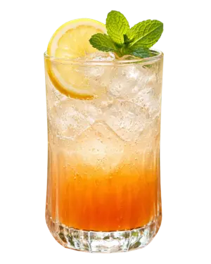 TRIBAL SUNSET PEACH FIZZ
