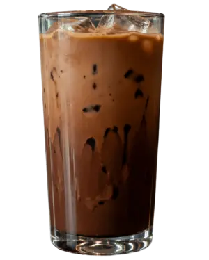 TRIBAL MOCHA PROTEIN ICED LATE