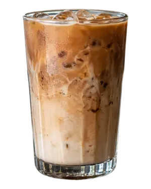 TRIBAL CARAMEL COCOA PERFORMANCE ICED LATTE