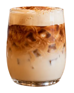 TRIBAL HAZELNUT PROTEIN COLD ICED COFFEE