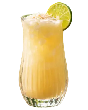 TRIBAL TROPICAL COCO BREEZE