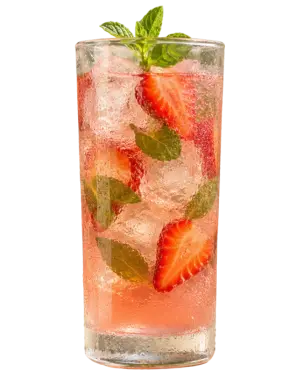 TRIBAL STRWBERRY ELECTROLYTE COOLER